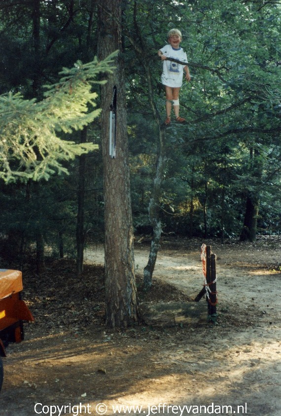 Het klimmen in bomen zat er al op jonge leeftijd in
