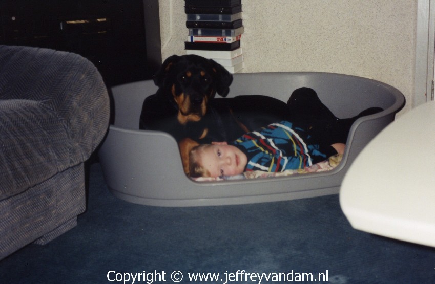 In de mand bij Sydney onze Rottweiler (reu)