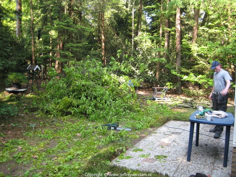 Er moesten 5 bomen gekapt worden, tijd voor een bakkie koffie