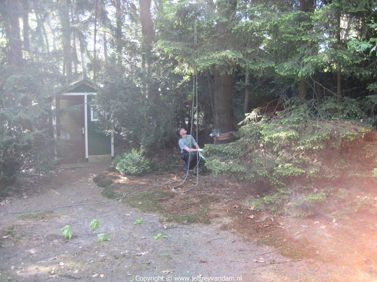 Er moesten 5 bomen gekapt worden, Jef helpt de houthakker met het laten zakken van de takken